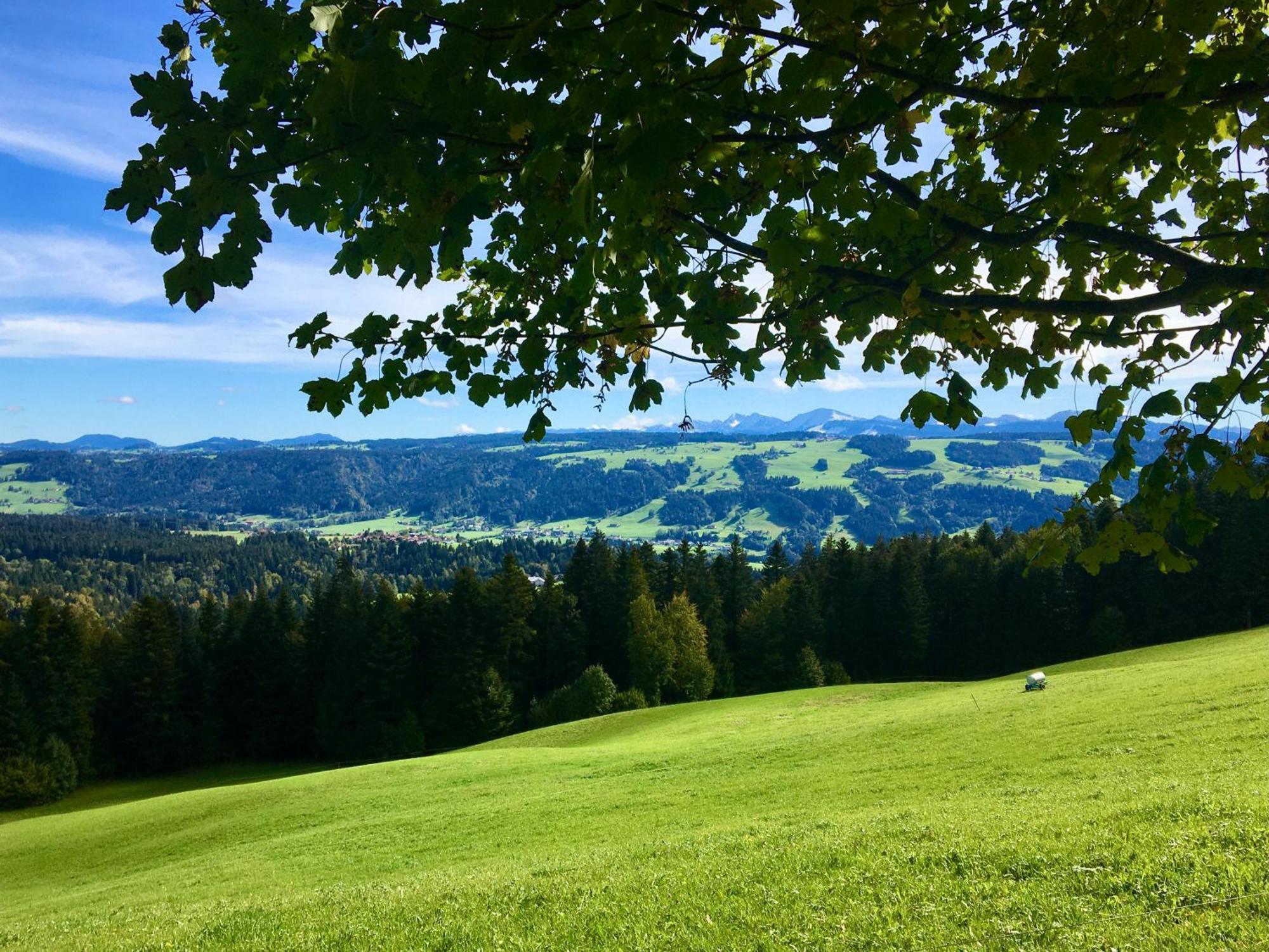 Ferienwohnung Panorama Pur Lindau  Dış mekan fotoğraf
